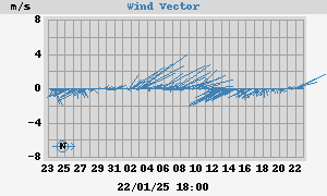 Wind Vector