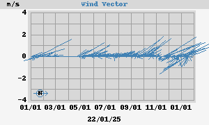 Wind Vector